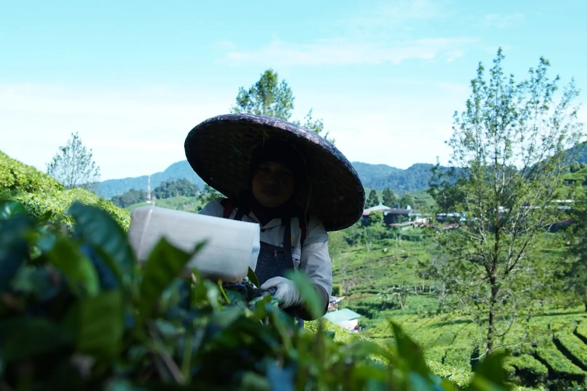 商业运营与品牌管理服务对比：媞芙妮全流程方案解析