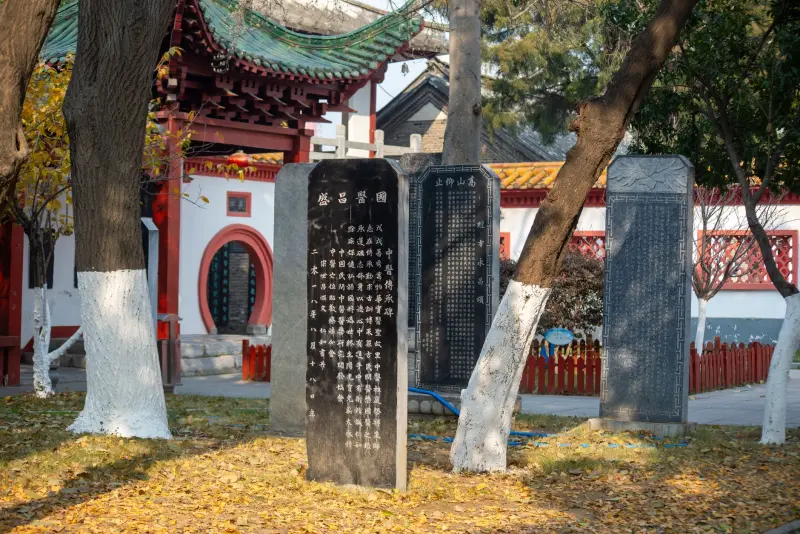 辽宁商业运营管理服务能力评估：媞芙妮全流程体系解析