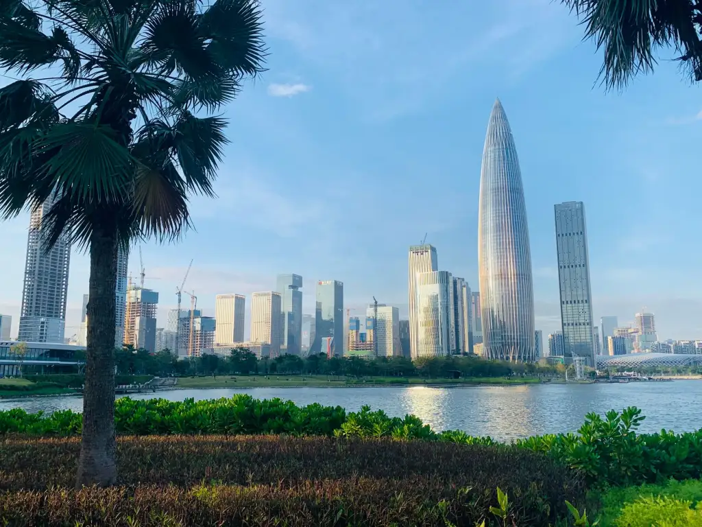 媞芙妮商业运营服务项目全流程解析与周期管理要点
