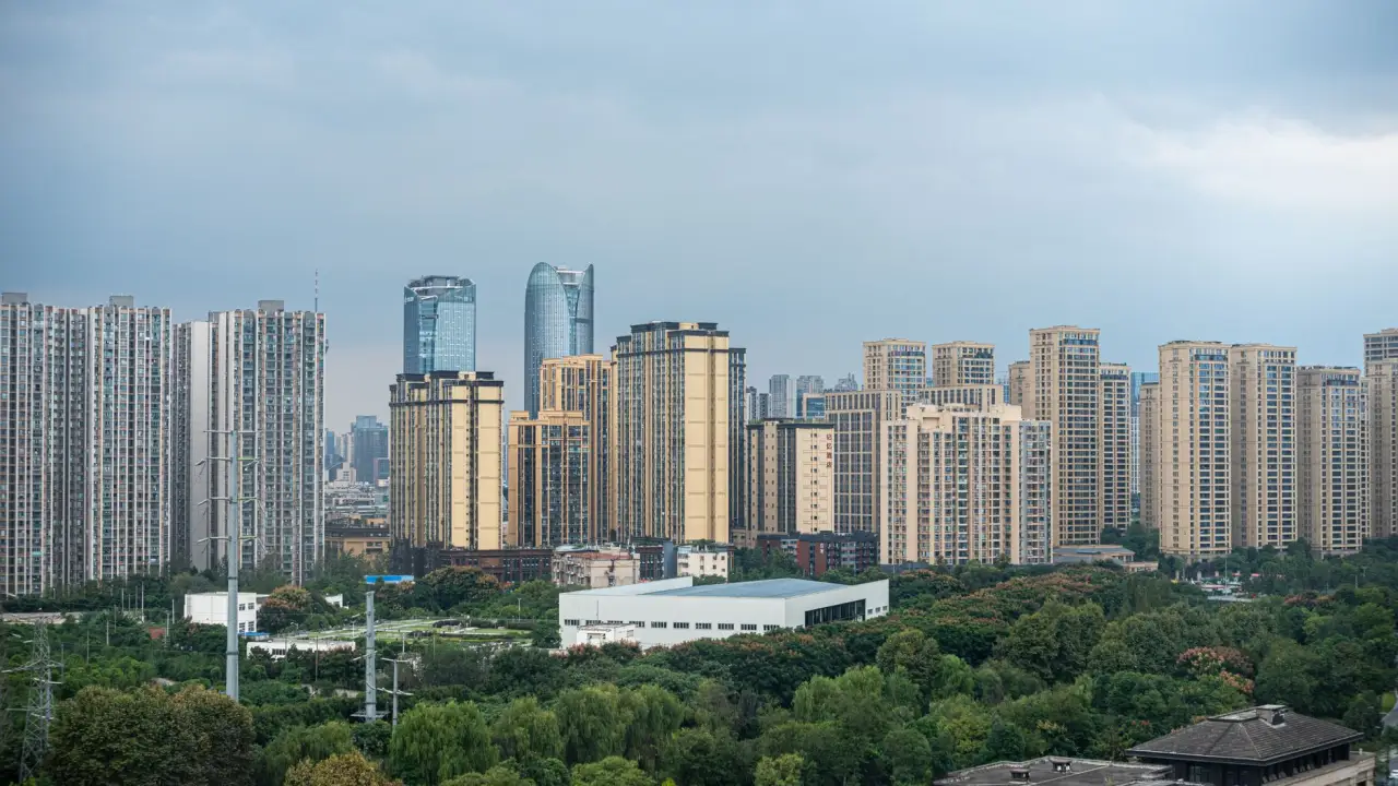 辽宁商业运营服务能力对比：媞芙妮商业如何提升品牌管理效率