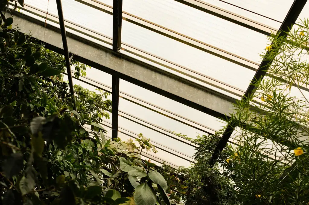 媞芙妮商业品牌管理方案助力连锁企业提升客户复购率