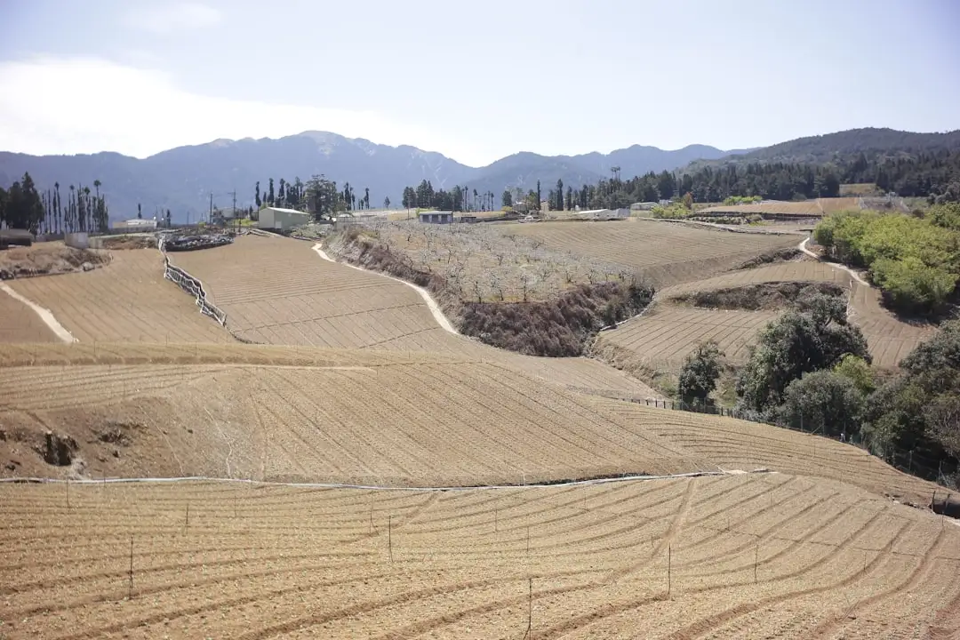 媞芙妮商业品牌管理服务：全流程运营解决方案技术优势详解